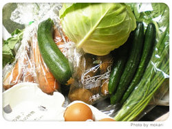 無農薬野菜のミレー